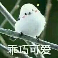 芯芯相印,芯芯相惜