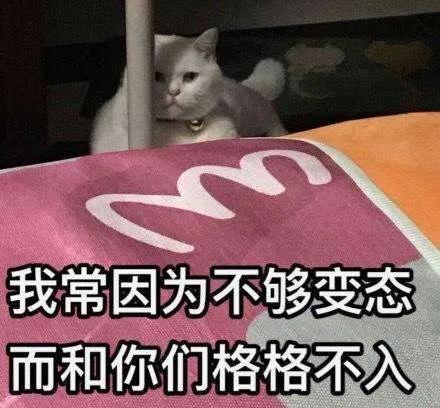 这种性骚扰的网红,早该被封杀