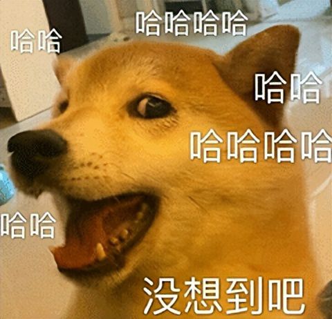 玩了这款游戏,我突然领悟了人生