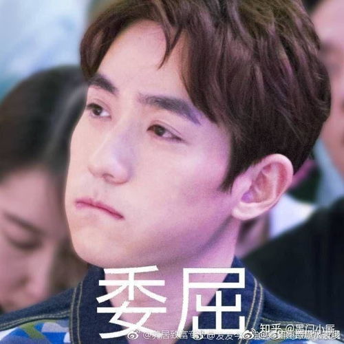喜欢朱一龙的你们分别来自哪个圈子为什么