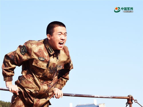 表情军事大比武一大波兵哥哥表情包来袭中国军网表情