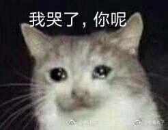 你都存了哪些沙雕表情包