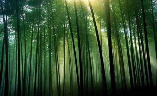 一周运势先知道5月11日5月17日