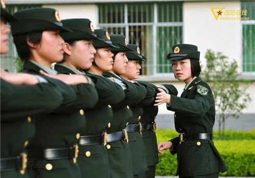 通信女兵版柒个我上线,原来这才是真正的戏精