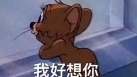 朴狗经典老番回顾