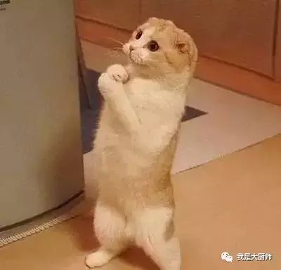 厨师日常工作表情集锦,看完不许笑