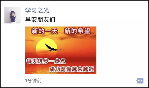 如何通过朋友圈鉴别出这个人是不是在考研