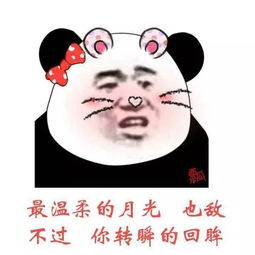 抖音古风文言情话表情包分享