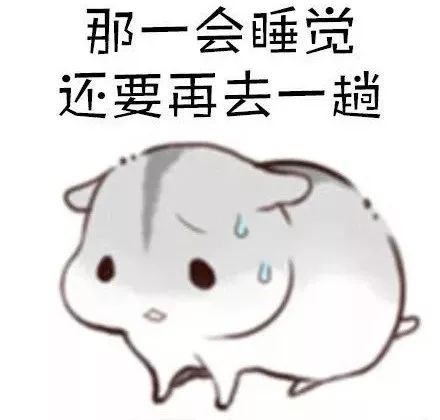 行吗的表情包小仓鼠