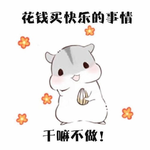 包贝尔上虎扑惨遭网友吐槽只因为拍了一部喜剧电影