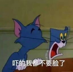 常态化限行紧急提醒石家庄人,你捐的衣服哪里去了
