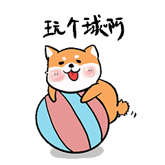 狗gif表情包柴犬