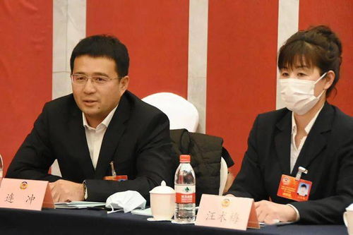 情系政协,彰显本色市政协委员审议市政协两个工作报告的表情包
