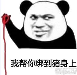 腾讯专区最新软件订阅jz5u绿色下载站