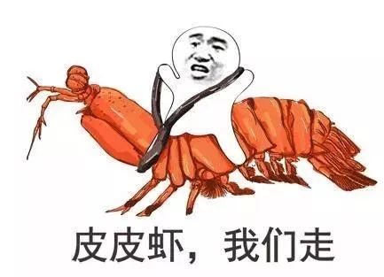 2017年度表情包大赏小猪佩奇,假笑boy,边缘试探.你最爱
