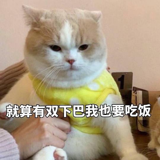 宇宙大队长的相册婊情包