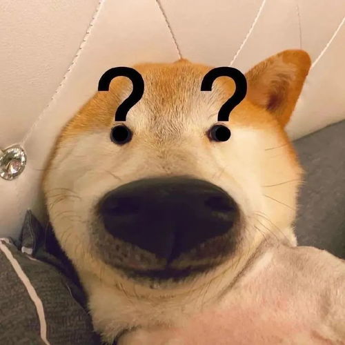 柴犬wink表情包眉眼弯弯