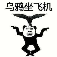 抖音武功秘籍我将毕生武功全都传给你熊猫头无水印表情包