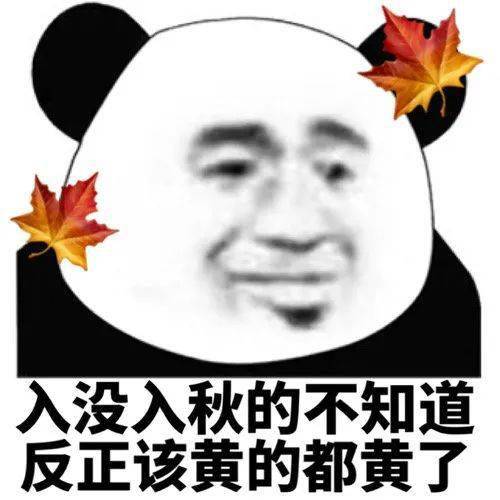 沙雕表情包入没入秋不知道,反正该黄的都黄了