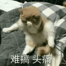 中国最难的五大考试,考研排最后