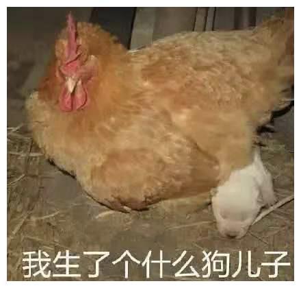 揭开了顶级富二代的奢靡生活,短暂的快乐后,却让我陷入深深沉思
