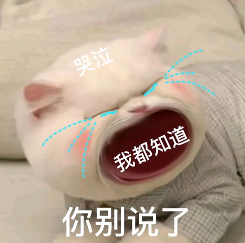 大嘴巴小猫大喊大叫表情包不完全合集