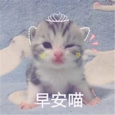早安表情包可爱搞笑大全早安微信表情包萌