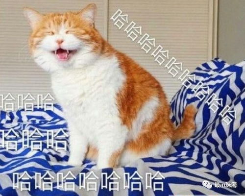 珠海人稳住,最难熬的日子来了