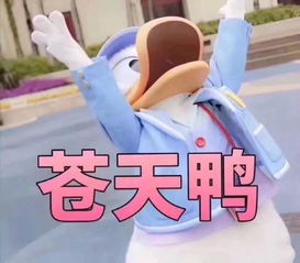 520脱单指南27年单身狗的逆袭之路在哪里