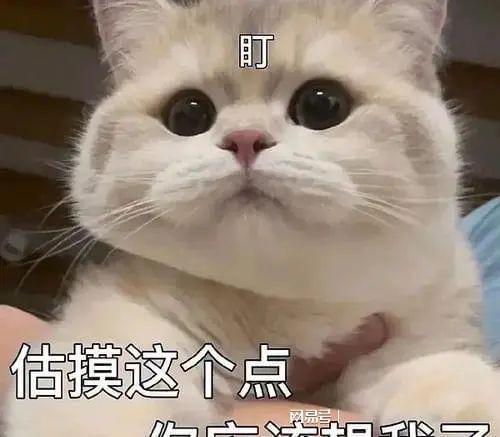 以为我家的猫丢了,结果在粪坑找到了它,请问这还能要吗