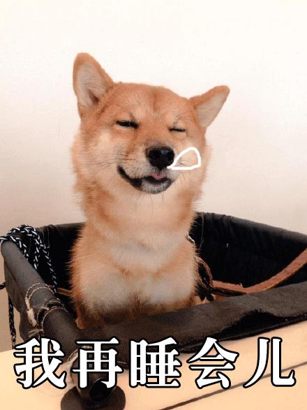哈士奇大战柴犬,表情包之王你支持谁