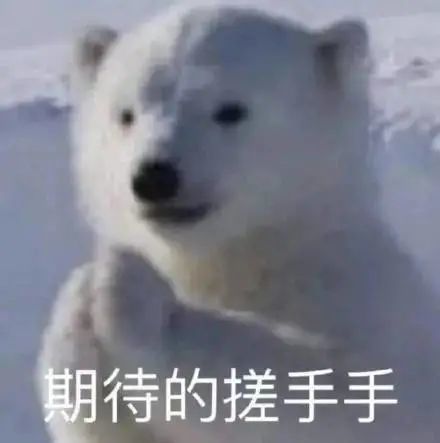表情包沙雕日常豹豹不想起床
