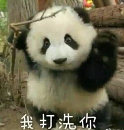 帅得正气满乾坤飞行员小哥哥刷屏了果然是颜值高的都上交给国家了