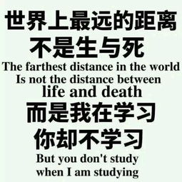 vue表情包表情包