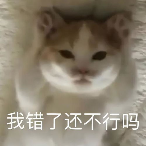 下辈子一定能用上的情侣表情包