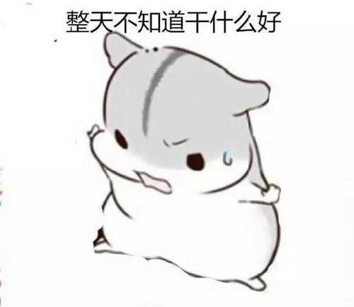 仓鼠表情包等老婆一起睡觉觉