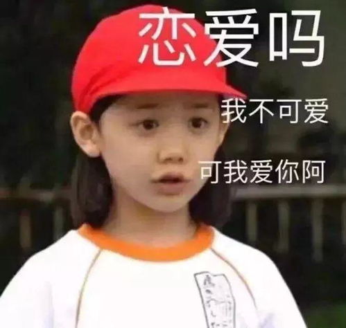 码住