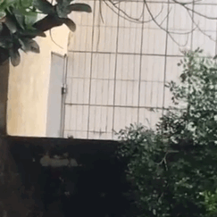 葛优表情包gif大全微信大全