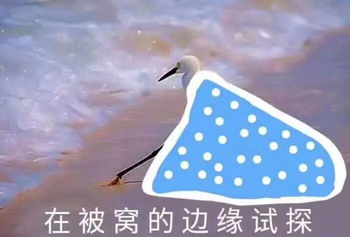 二次元表情包斗图必备被窝
