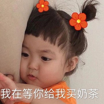 茶的表情包表情包
