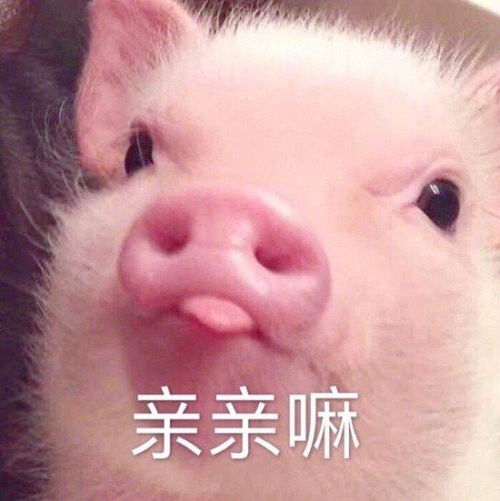 热门表情包图片从你这里,我又学到了奇怪的知识