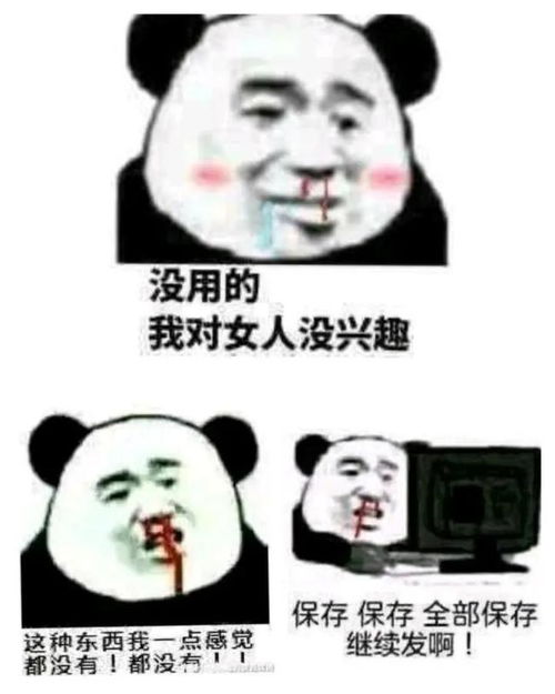 那些有趣的表情包没用的我对女人不感兴趣