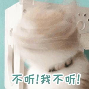 请问有没有超级萌的猫咪表情包