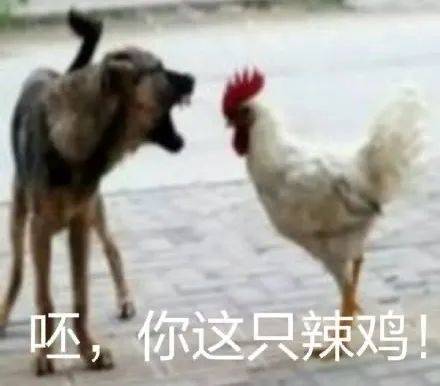 第48期汪表情扔个垃圾,楼下大爷非要我给他发狗表情