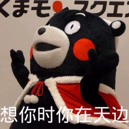表情与斗图114熊本县地震熊本熊停止更推熊本熊表情包
