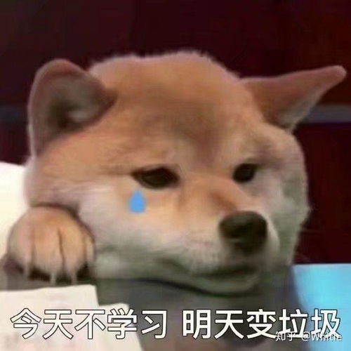 合肥一六八中学和合肥第一中学哪一个更好