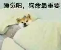 叹茶丨到底几点睡算熬夜