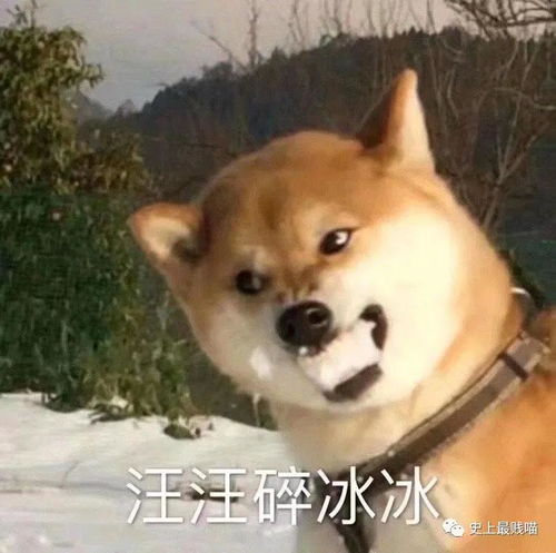 为什么rapper脖子都贴药膏网友评论给我笑没了哈哈哈哈