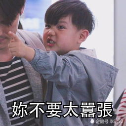 seeitagain小男孩表情包超萌