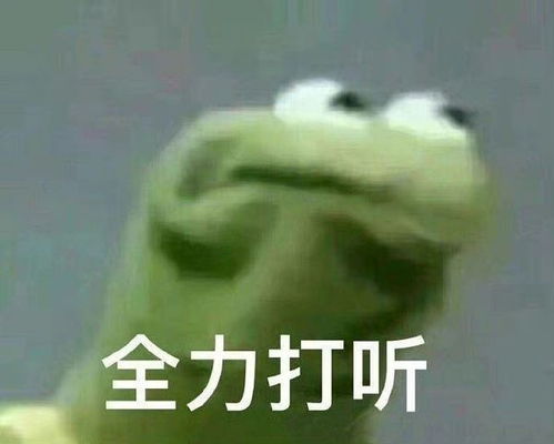 考试周破防top1你背包去教室,别人提行李回家过年